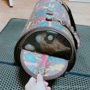 청진도가니탕 | 고양이 송곳니 파절, 치과 전문 병원 방문한 보루냥