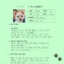 1481 | [#1481] 소금(양측 슬개골탈구 G3, G2)의 수술후기