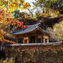 펜션달안동 이미지