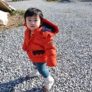 봄이 일상