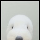 멍했냥 평택본점 이미지