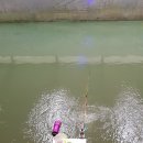 연정낚시터 이미지