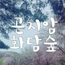 5월 29일(금) 경기도 곤지암읍 화담숲 수목원(LG회장별장) 아름답고 화려한 봄꽃축제-힐링트래킹. ♡20,000원. 37석 리무진운행 이미지