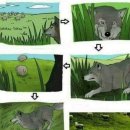 늑대PC방 이미지