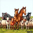 박서농장 이미지