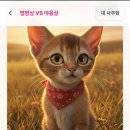 사주명리학(심화반) | ​[온라인 사주 추천] 정통 명리학과 관상까지 완벽한 ‘사주토끼’ 후기