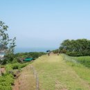 외양포공영주차장 이미지