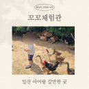 꼬꼬체험장 | [일산 아이랑 갈만한 곳] 꼬꼬체험관 아이와 함께한 동물교감 체험 후기