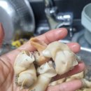 영덕농수산