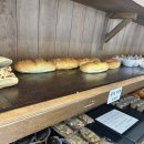 5907 | 대전 탄방동 두쫀쿠 맛집 목화제과 재방문 후기!