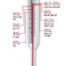체온UP다이어트 이미지