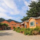 물숲(명천) 이미지