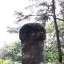김감 네이버블로그
