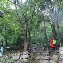 도심의 공원처럼 정성들여 가꾸어 놓은, 각산(‘18.7.9) 이미지