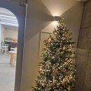 아도라 플라워 앤 카페 이미지