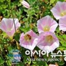 행곡4리(주천대) 이미지