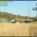 고성열축사 네이버블로그
