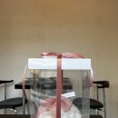 포레스트모리토키 이미지