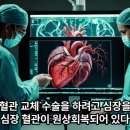 https://youtu.be/daI-Jr9v1e8 손 따주기로 세포를 재생 시킬 때 48시간 정도 걸린다. 이미지