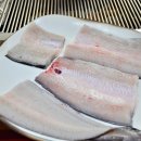 동진 수족관 이미지