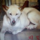 진도축산 이미지