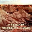 수정여관 | 미국 서부 로드트립, 애리조나 페트리파이드 포레스트 국립공원 2억년 전 지구의 흔적