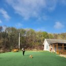 고란집 민박 이미지