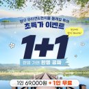 둘레길 여행사 스포츠경향