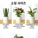 사당꽃화원