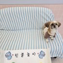 허니바우 이미지