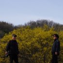 이천산수유마을 이미지