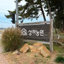 고창 여행 | 상하농원 파머스빌리지 | 뚜벅이 양떼목장가다 🐑 😎