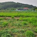 신운리농장 이미지