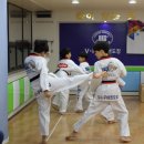 VIP 태권도장 이미지