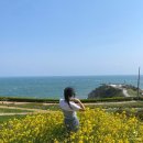 GS25 부산개금점 | [부산] 여행 필수 코스 추천 :: 벚꽃명소 개금동 개금벚꽃길•오륙도 유채꽃 포토스팟 | 해운대이름난...