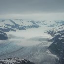 루루 반려견 이미지