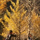 은행약수터 이미지