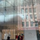 베네딕도유치원 | 🇦🇺호주 시드니 여행 Day 3 | 블루마운틴 선셋+별빛 투어(페더데일 동물원 포함 X)🇦🇺