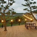 라온팬션