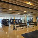 휘트니스 서울 이미지