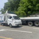 넥시스시트