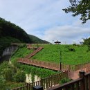 병산빛물꿈테마길 이미지