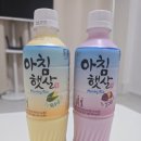 웅진음료 신상(?) : 아침햇살 옥수수맛 고구마맛 후기 (내돈내산)