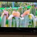 펀치볼농원