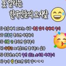 한국인들 오지랍 이미지