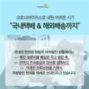 브레인리더한의원 이미지