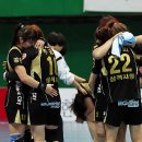 코리아타이거체육관 이미지