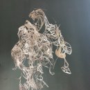 서해미술관 이미지