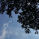 생수장가든 이미지