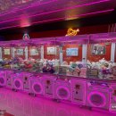 TOP 인형뽑기 이미지